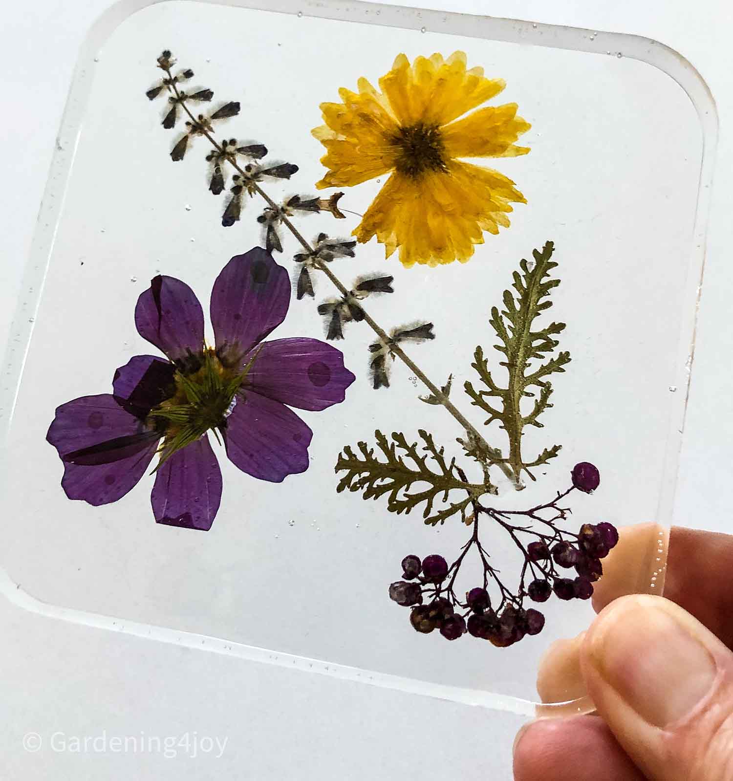 DIY resin coasters with dried pressed flowers - Gardening4Joy