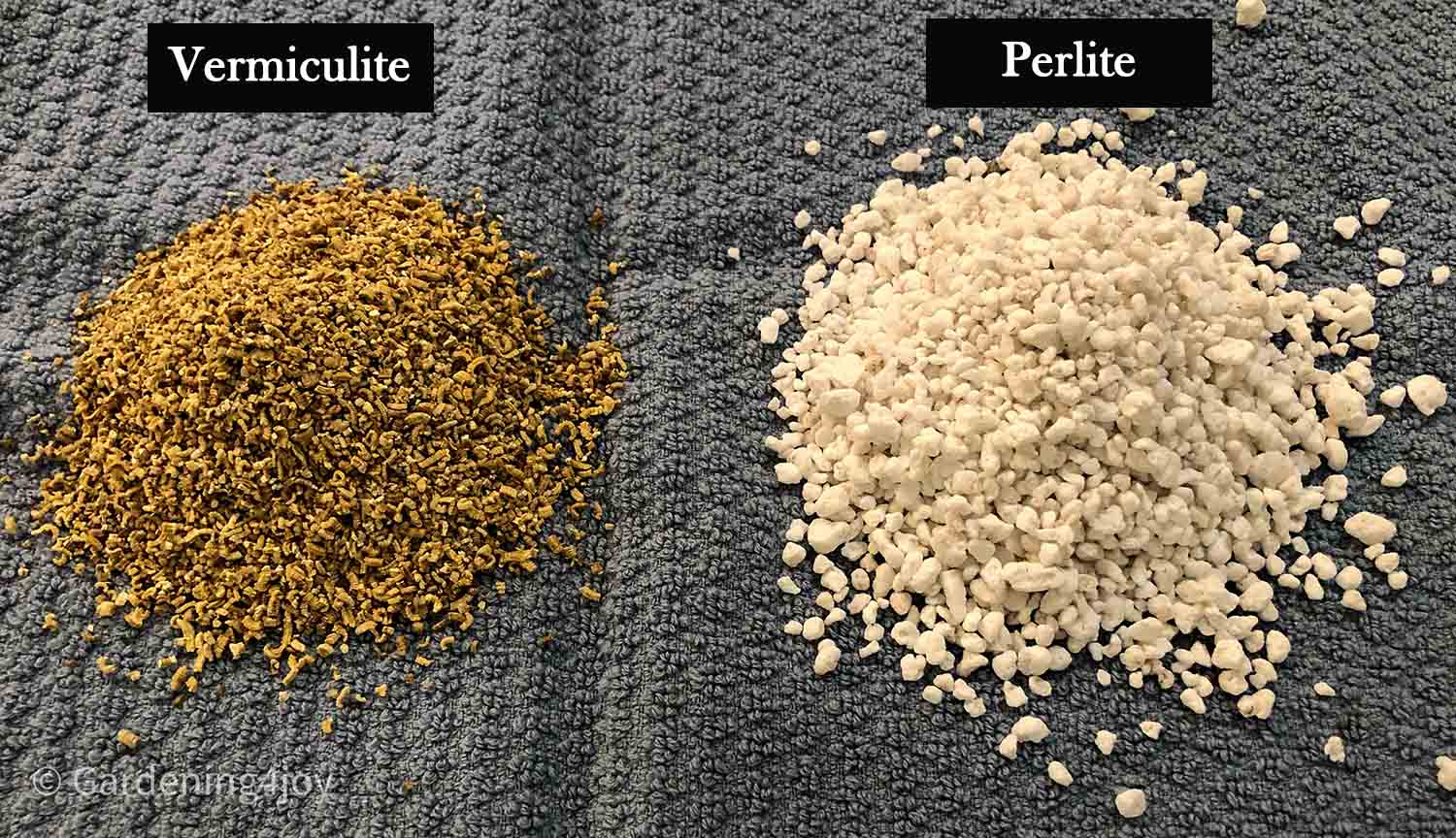 Perlite Vs Vermiculite Main 
