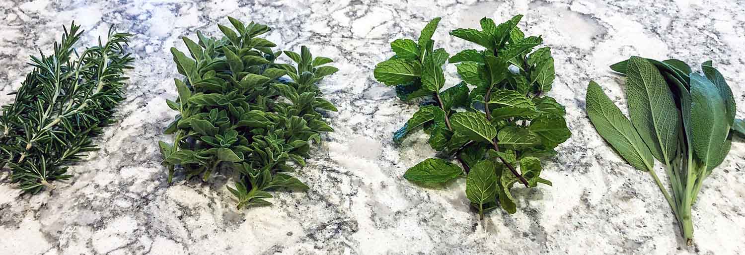 Storing fresh herbs the best method to use Gardening4Joy