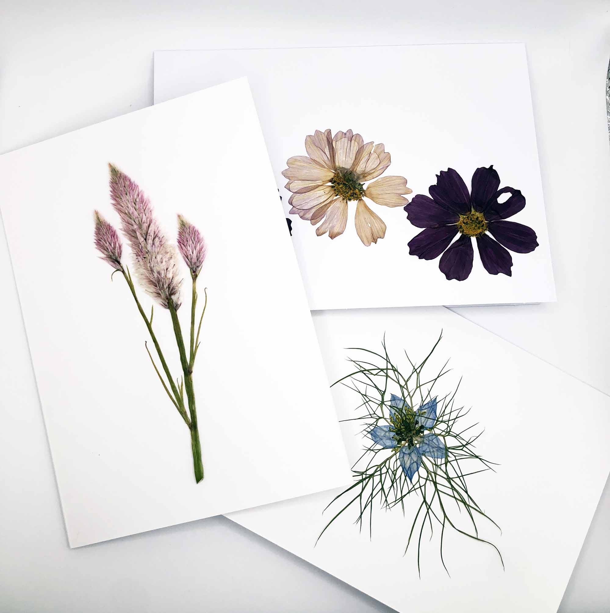 How to Create Pressed Flower Art – Summer Garden - Gardening4Joy